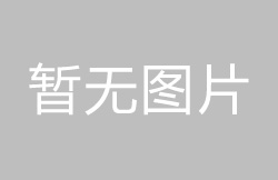 使用高品质材料制作拨动开关